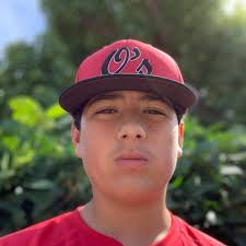 Joshal Parikh's Prospect High School Bio