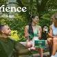 Experience Nature's Sunshine - Alsip, IL event image