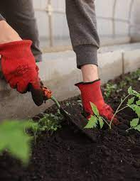 Spokane valley's premiere gift shop, garden center & nursery. Blog Agriscaping