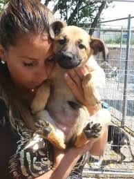 Wir haben ein Zuhause gefunden