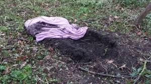 Derby: Dead dog found buried in shallow grave in park