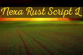 Version 1.000;ps 001.000;hotconv 1.70;makeotf.lib2.5.58329 development postscript font name. Nexa Rust Script L 0 Font Ffonts Net