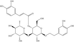 Image result for Tinnea antiscorbutica