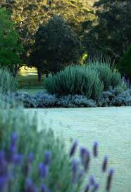 Michael Cooke Garden Design Modernlandscapedesign Landscape Design Tropical Landscaping Landscape Plans