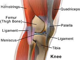 Hoffa S Syndrome And Knee Pain Top Doctors