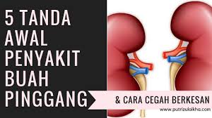 Maybe you would like to learn more about one of these? Sakit Buah Pinggang Boleh Sembuh Tanda Dan Pencegahannya Youtube