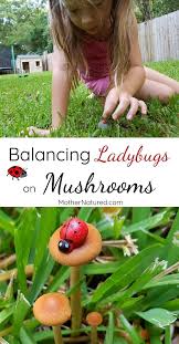 Kids Will Love To Balance Ladybugs On Mushroom Tops Stuffed Mushrooms Fine Motor Skills Activities Outdoor Learning Activities