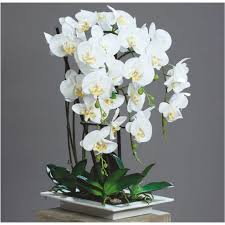 Specialised in artificial orchid arrangement. Modern Orchid Floresy Online