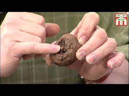 How To Plant Begonia Tubers Video With Thompson Morgan Youtube