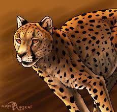How to draw a cheetah running. How To Draw Cheetahs Cheetah Cat Step By Step Drawing Guide By Makangeni Dragoart Com