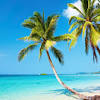 Tons of awesome 4k drone view beach wallpapers to download for free. Https Encrypted Tbn0 Gstatic Com Images Q Tbn And9gcs55ht28eb91gyjrfynyehrsh8ow6jdzzfaybpsfhfvbqnsuow2 Usqp Cau