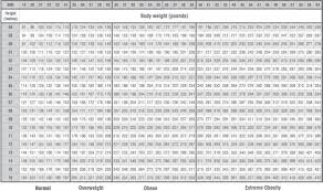 Bmi Body Mass Index Calculator Motivating Mommy