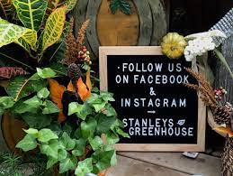 Garden center in knoxville, tennessee. Stanley S Greenhouse