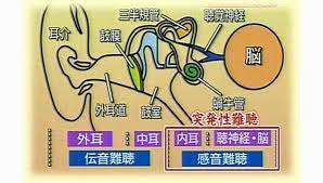 Kanji details for 突, 発, 性, 難 and 聴. çªç™ºæ€§é›£è´ é‚£ç‚å·å¸‚ã®å°å…ç§' å†…ç§' çœ¼ç§' æ±Ÿå‰¯ã‚¯ãƒªãƒ‹ãƒƒã‚¯ ç¦å²¡çœŒé‚£ç‚å·å¸‚