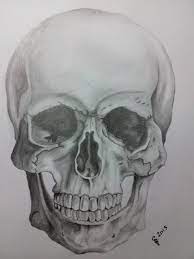 Maybe you would like to learn more about one of these? Skull Pencil Sketch By Itchybear On Deviantart