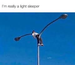Man On A Lamp Memes