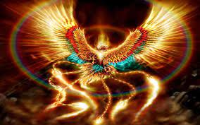 See more ideas about phoenix tattoo, rise from the ashes, phoenix bird. The Glorious Gift Of Burnout And Rising From The Ashes By Melissa Jun Rowley Medium