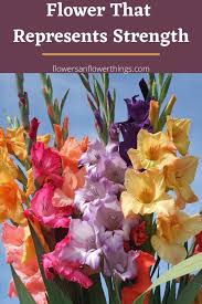 Maybe you would like to learn more about one of these? Flower That Represents Strength Flowersandflowerthings