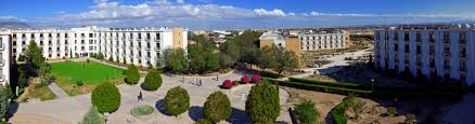 Cyprus international university (ciu) is a private higher education institution. Cyprus International University Cyprus Student Placement Organization