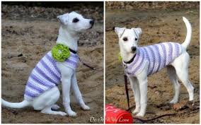 Hakelanleitung E Book Hundepulli Effie In Allen Grossen Hunde Pullover Hundepullover Hakeln Hundepullover