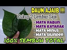 Cara Menyembuhkan Mata Rabun Mata Minus Mata Katarak Secara Alami Youtube Di 2020 Obat Alami Kesehatan Kebugaran