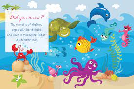 Not only animals are cute, but they're also quite interesting. Educative Aquatic Animals Information For Kids