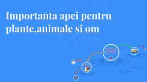 Am făcut o aplicație în appinventor, unde am format o hartă și. Importanta Apei Pentru Plante Animale Si Om By Stefan Lungu