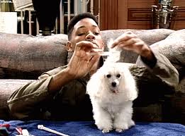 You Should Always Take Care Of Your Pets Video Video Fresh Prince Fresh Prince Of Bel Air Prince Of Bel Air