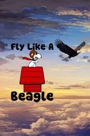 Fly Like A Beagle Snoopy Funny Snoopy Dance Snoopy Love
