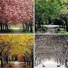 Dylan Thomas Do Not Go Gentle Into That Good Night Theme Literary Theme Comparison Of I Used To Live Here Once Do Not Go Gentle Into That Good Night Nothing Gold Can Stay Four Seasons Different Seasons Seasons