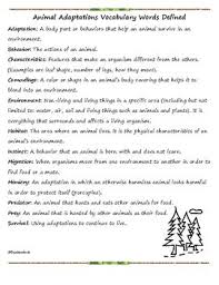 Animal Adaptations Vocabulary Packet Science Cells Third Grade Science Animal Adaptations