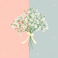 We did not find results for: Hand Drawn White Flowers Bouquet Baby S Breath Gypsophila Flowers Royalty Free Cliparts Vectors And Stock Illustration Image 142113613