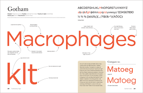 The Anatomy Of Type By Stephen Coles Book Review Type Anatomy Typography Book Font Anatomy