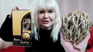 Jerihonska Ruza Sveta Biljka iz Svete Zemlje (Rose of Jericho)