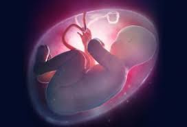 How Does A Baby Breathe In The Womb
