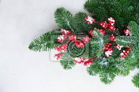 Weißer hintergrund mit roten beeren und blumen. Rot Und Grun Weihnachten Zweig Mit Roten Beeren Und Grunen Fototapete Fototapeten Girlande Kranz Immergrun Myloview De