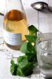 Sirop De Menthe Maison Recette Facile Sirop De Menthe Maison Sirop De Menthe Menthe