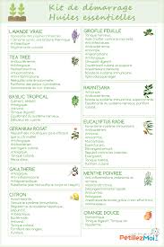 Huile Essentielle 15 Astuces A Connaitre Avant Son Utilisation Huiles Essentielles Guide Huiles Essentielles Huile Essentielle Lavande