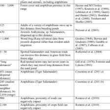 Advantages And Disadvantages Of Raster And Vector Data