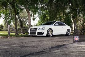 Image result for Suzuka Gray 2010 Audi