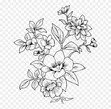 Trace line art onto paper or canvas, and color or paint your own masterpieces (trace & color) Floral Design Cut Flowers Visual Arts Leaf Plant Stem Transparent Flower Line Art Hd Png Download 633x750 703909 Pngfind