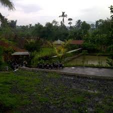 Karena ikan hias yang satu ini merupakan ikan yang tidak banyak makan. Kampoeng Ikan Resto Fishing Restoran Indonesia