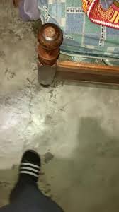 Jose Donis (@patominajj03)