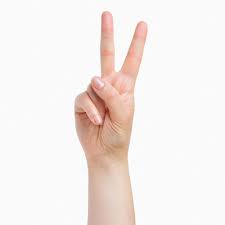The gestures of an orator; Time To Know What This Hand Sign Means Pep Ph