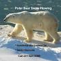 Polar Bear Plowing from m.facebook.com