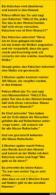 Ein Katzchen Wird Uberfahren Und Kommt In Den Himmel Lustige Bilder Spruche Witze Echt Lustig Lustig Geschichten Fur Senioren Witze Spruche
