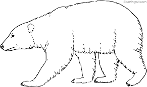 Realistic polar bear coloring pages. Realistic Polar Bear Walking Coloring Page Coloringall