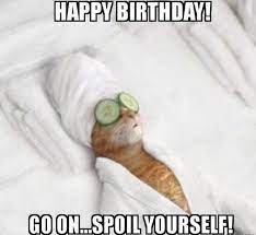 101 Funny Cat Birthday Memes Happy Birthday Go On Spoil Yourself Happy Birthday Girlfriend Happy Birthday Quotes Funny Funny Happy Birthday Meme