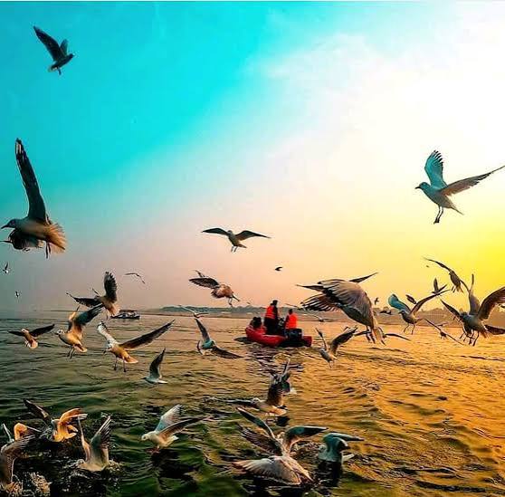 Triveni Sangam (Prayagraj) Image 3