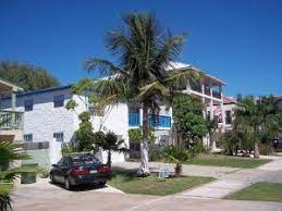 Can you grow coconut trees in south texas? Coconut Palms In Texas Discussing Palm Trees Worldwide Palmtalk